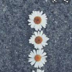 Meet your Posher, Bianca